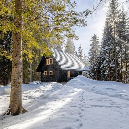 Cosy Lodge Pokljuka Goreljek Exteriér fotografie