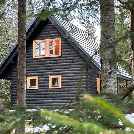 Cosy Lodge Pokljuka Goreljek Exteriér fotografie