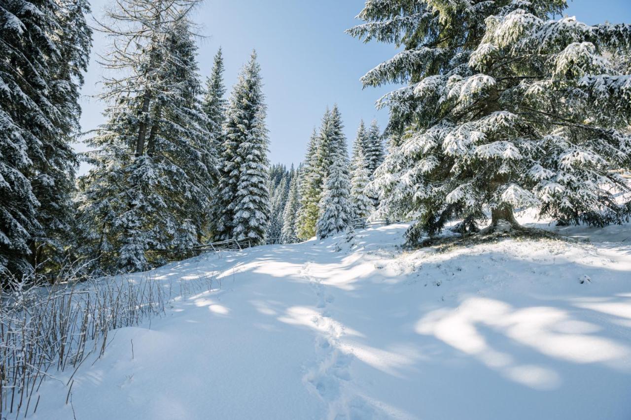 Cosy Lodge Pokljuka Goreljek Exteriér fotografie