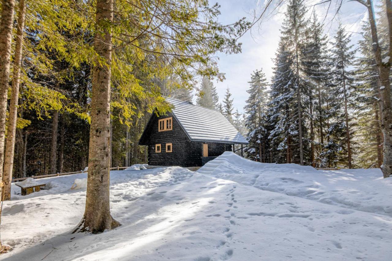 Cosy Lodge Pokljuka Goreljek Exteriér fotografie