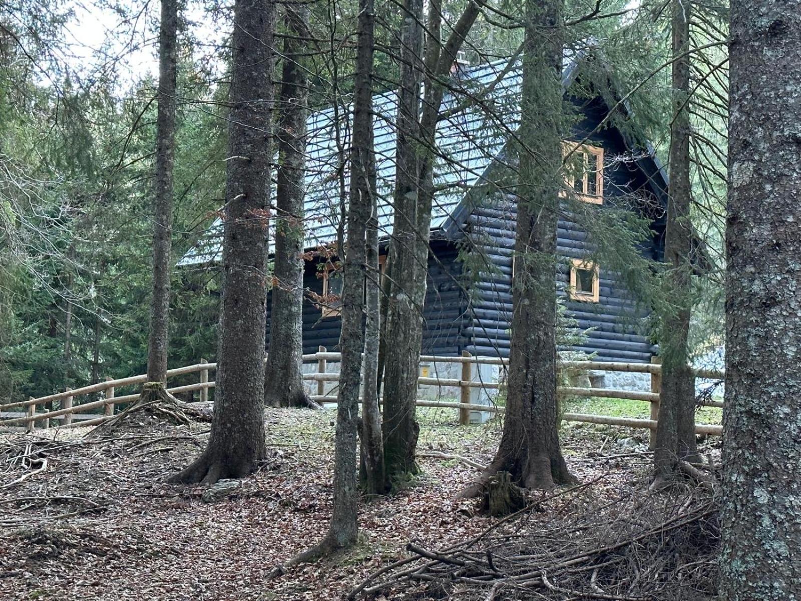 Cosy Lodge Pokljuka Goreljek Exteriér fotografie