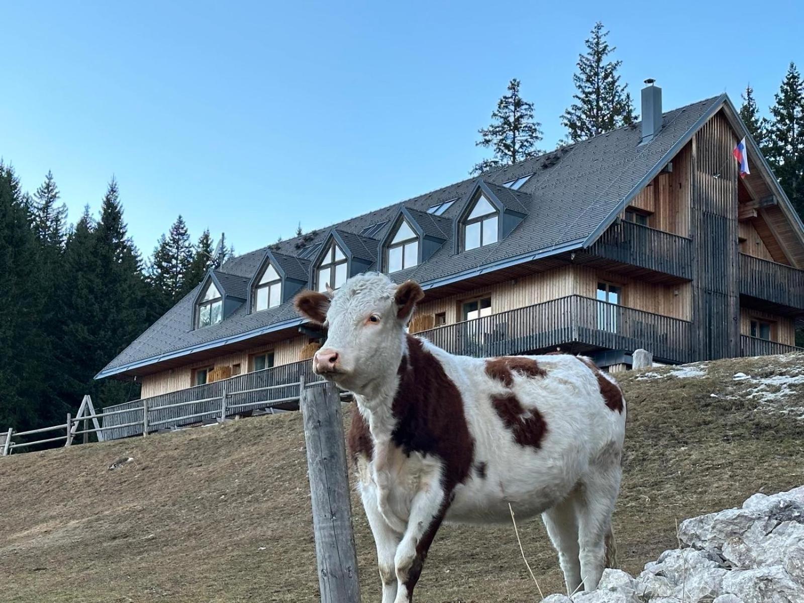 Cosy Lodge Pokljuka Goreljek Exteriér fotografie