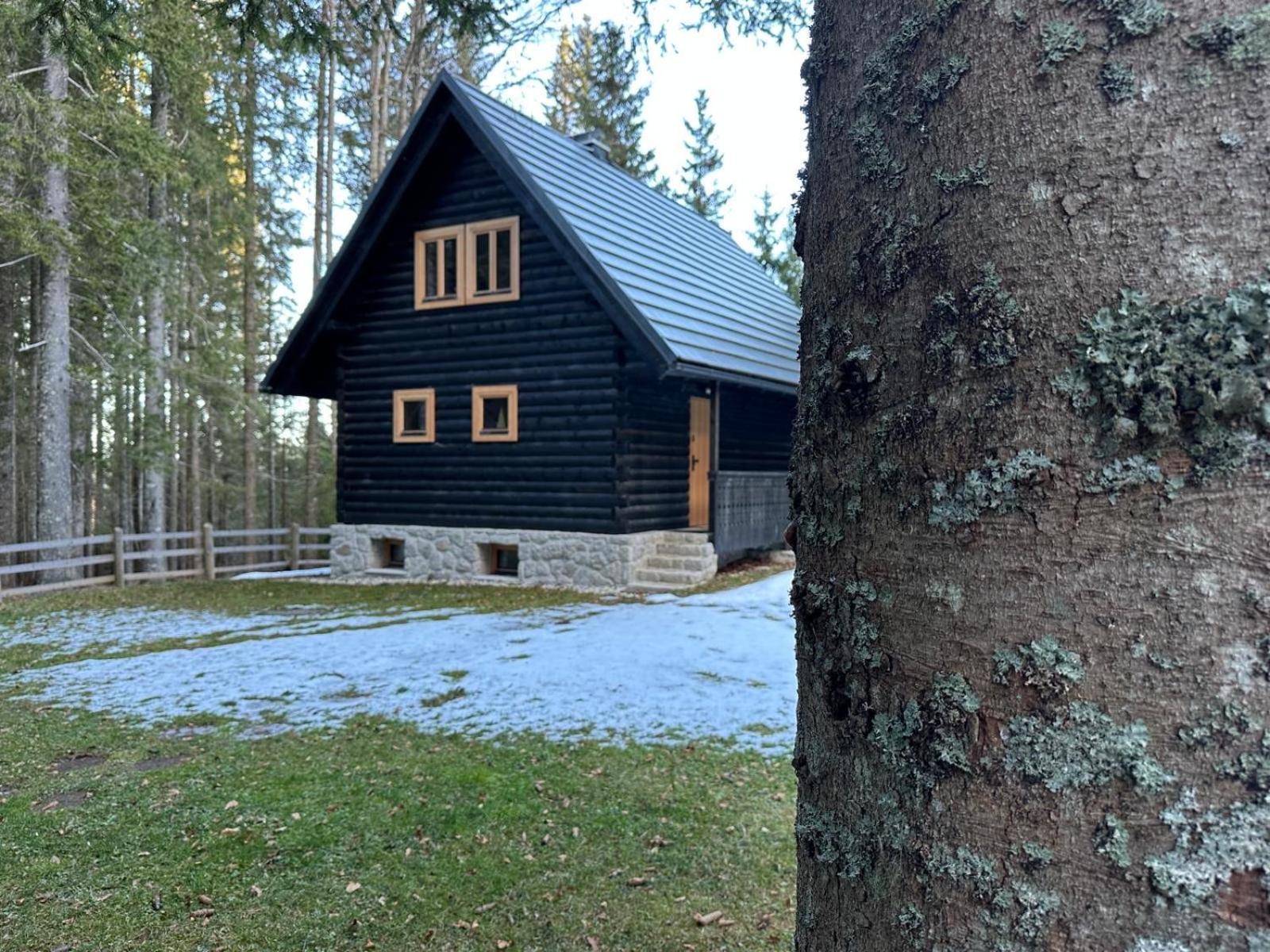 Cosy Lodge Pokljuka Goreljek Exteriér fotografie