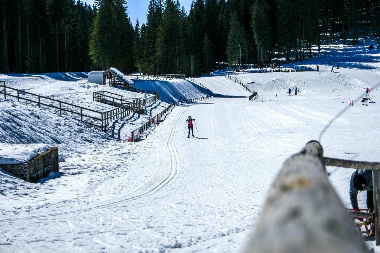 Cosy Lodge Pokljuka Goreljek Exteriér fotografie