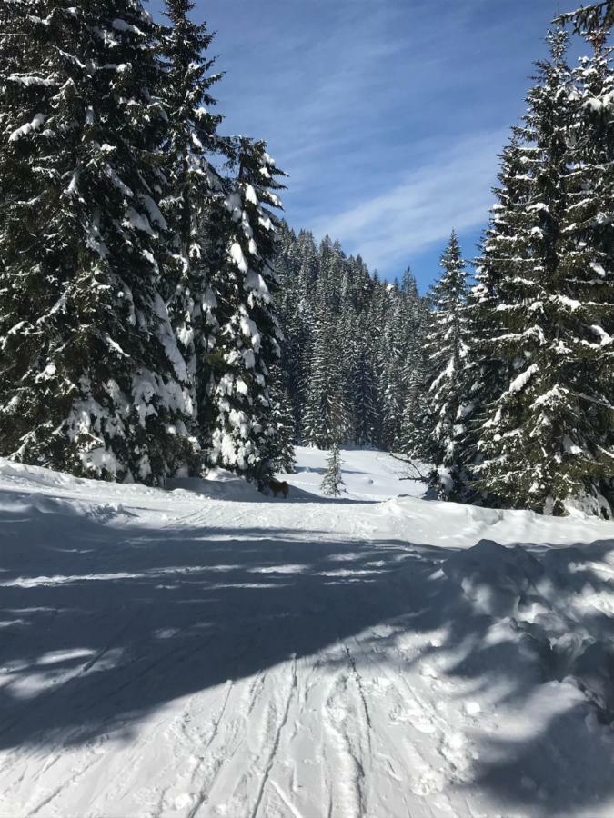 Cosy Lodge Pokljuka Goreljek Exteriér fotografie